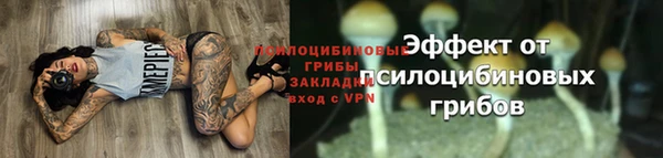 молекула духа Наволоки