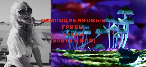 молекула духа Наволоки